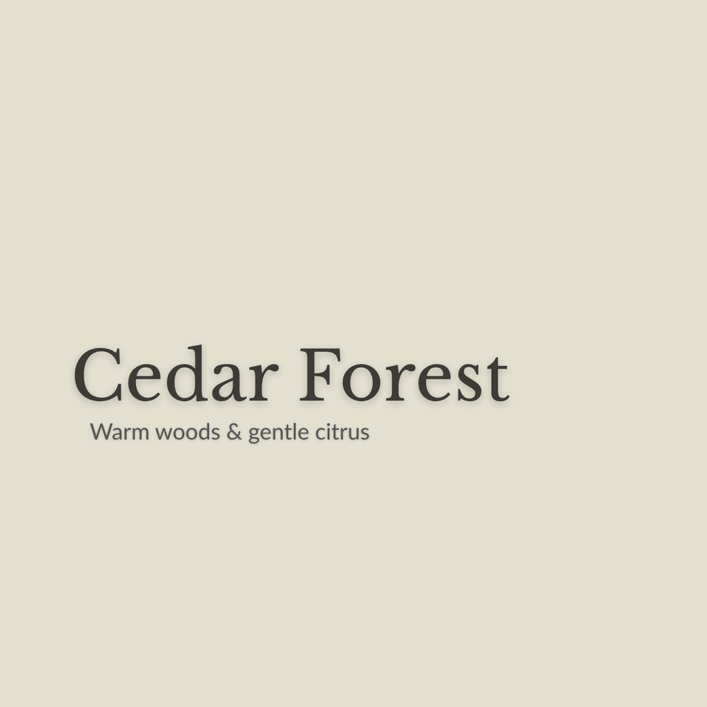 Cedar Forest Natural Deodorant