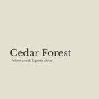 Cedar Forest Natural Deodorant