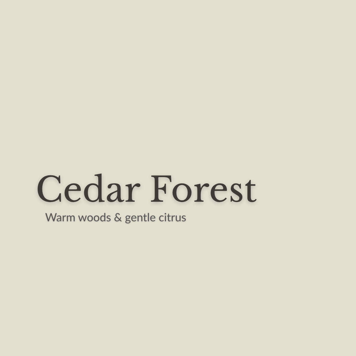 Cedar Forest Natural Deodorant