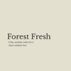 Deodorizing Spray | Forest Fresh