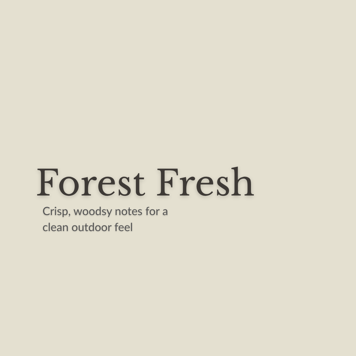 Deodorizing Spray | Forest Fresh